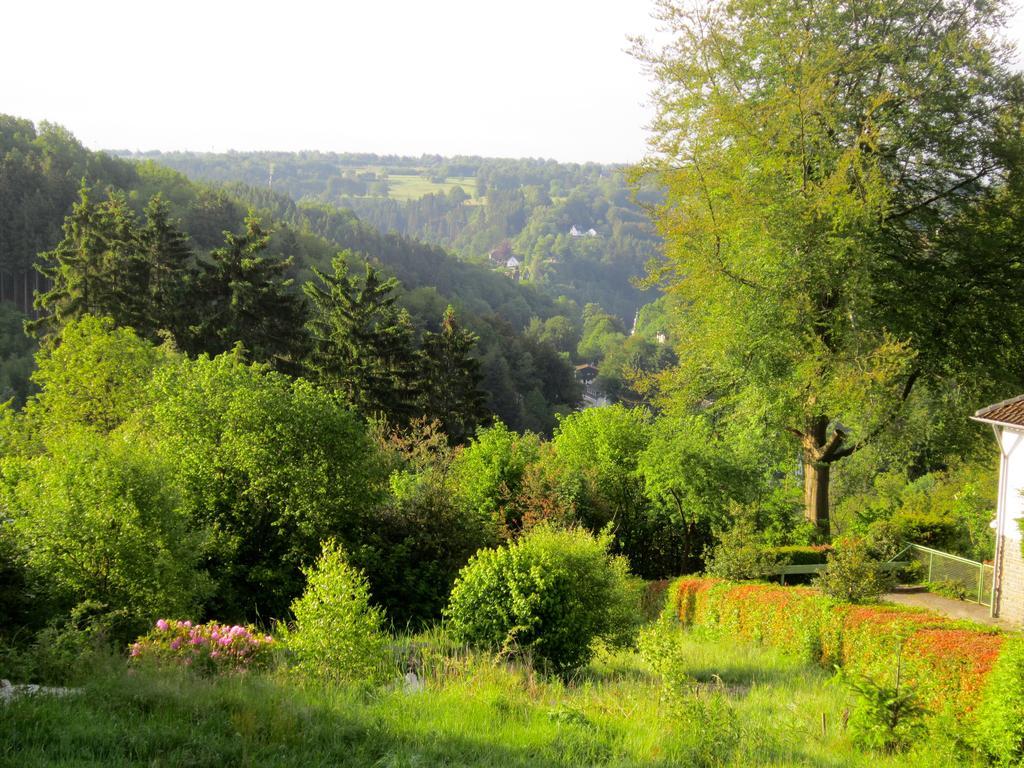 Het Groene Huis Monschau Bagian luar foto