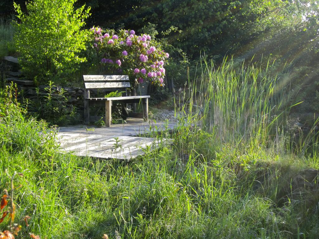 Het Groene Huis Monschau Bagian luar foto